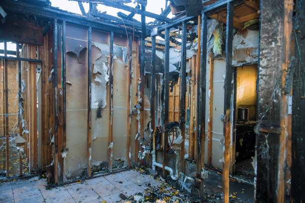 Professional Fire Damage Removal technician working in Clifton, AZ