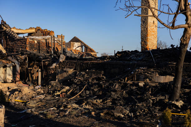 Reliable Fire Damage Removal contractor in Clifton, AZ by Fire Damage Flint